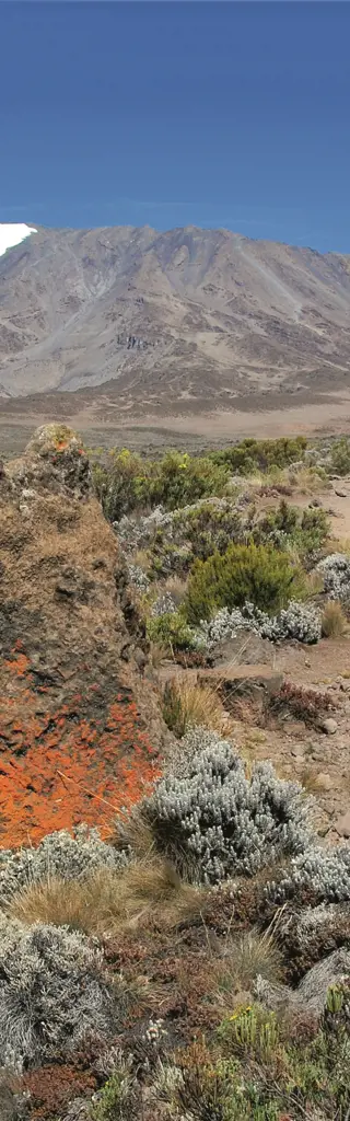 Kilimanjaro-Trekking in Tansania